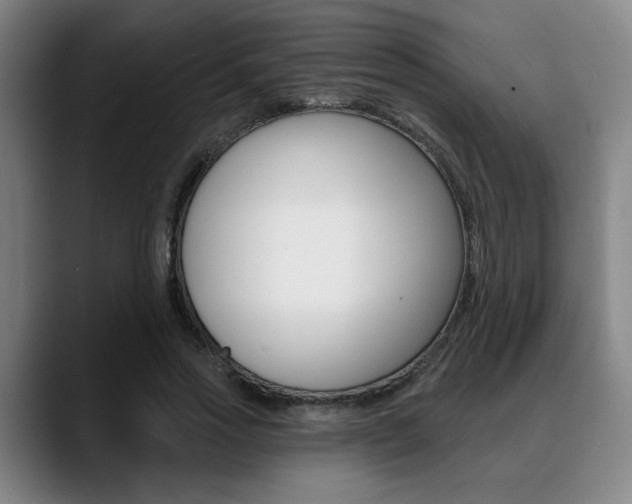 X0000089380733200706150911