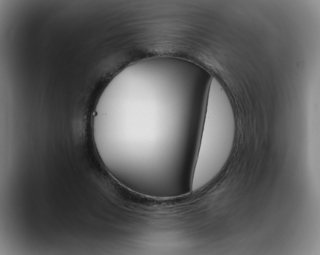 X0000089380735200706150911