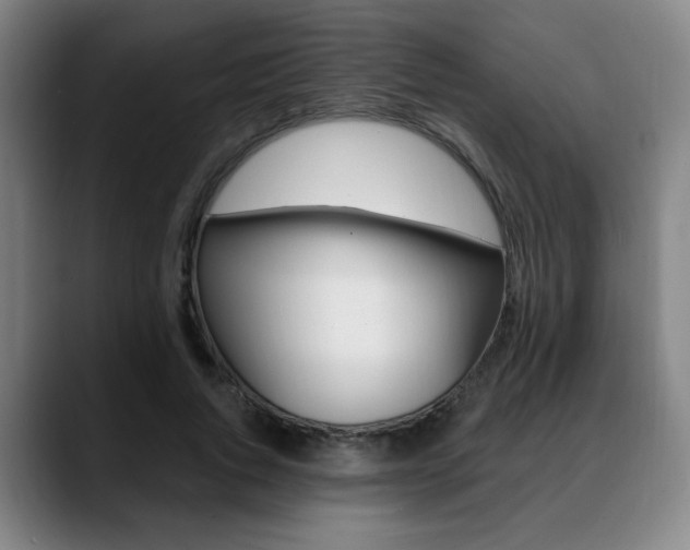X0000089380736200706150911