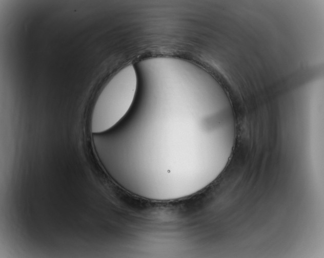 X0000089380738200706150911