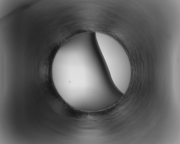 X0000089380739200706150911