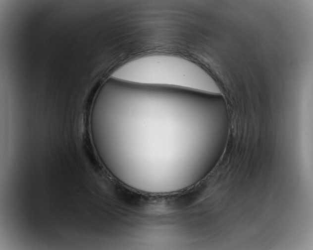 X0000089380740200706150911