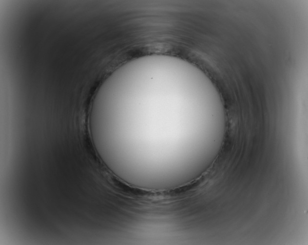 X0000089380745200706150911