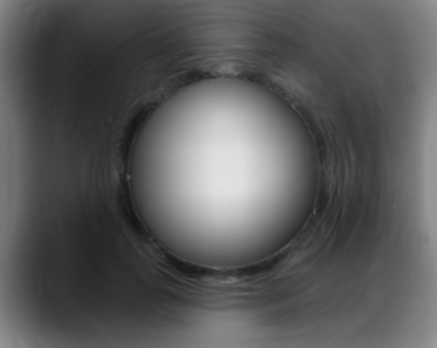 X0000089380747200706150911