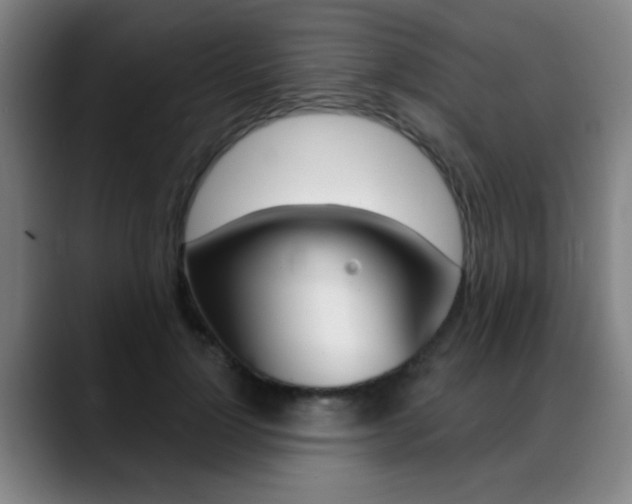 X0000089380748200706150911