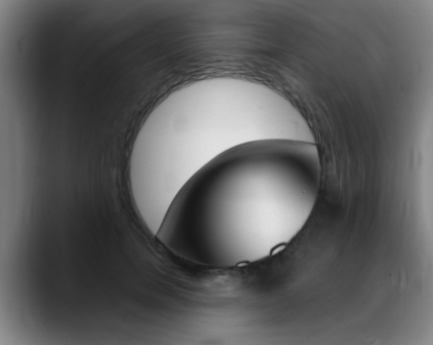 X0000089380750200706150911