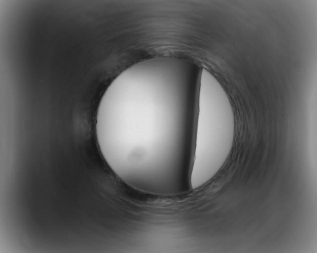 X0000089380751200706150911