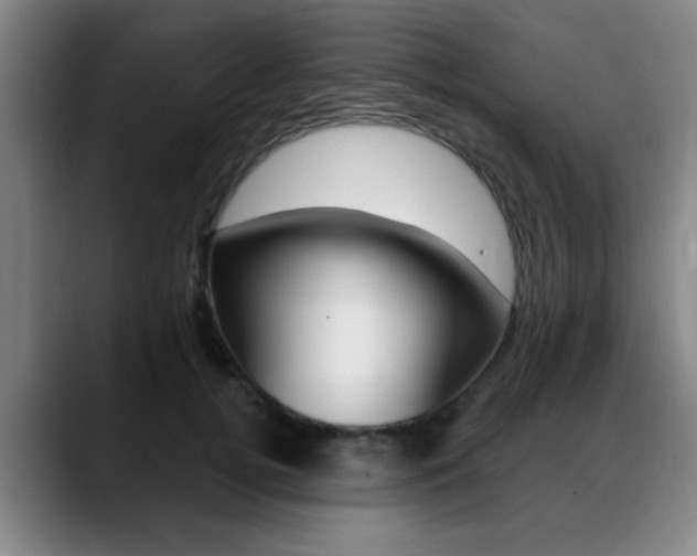 X0000089380752200706150911