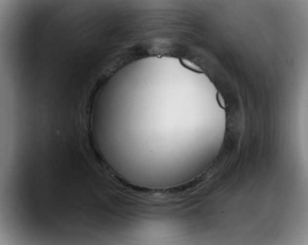 X0000089380755200706150911