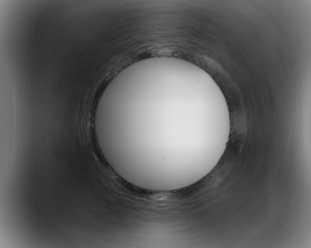 X0000089380761200706150911