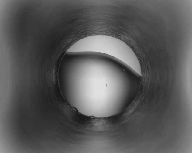 X0000089380762200706150911