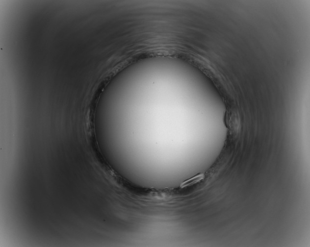 X0000089380764200706150911