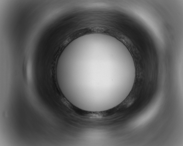 X0000089380765200706150911
