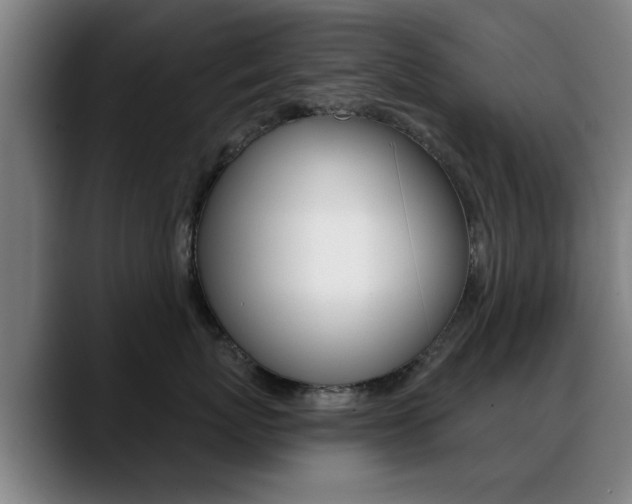 X0000089380767200706150911