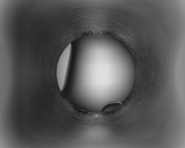X0000089380768200706150911