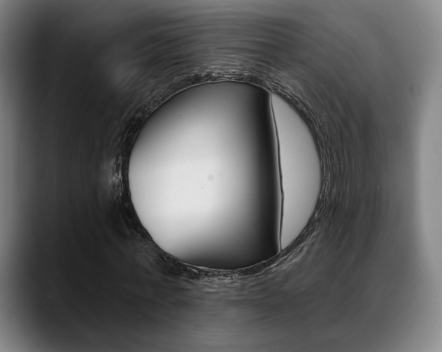 X0000089380771200706150910