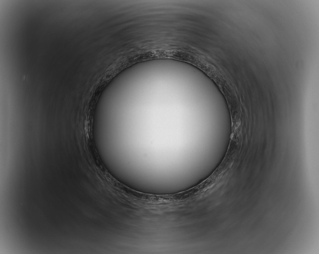 X0000089380772200706150910