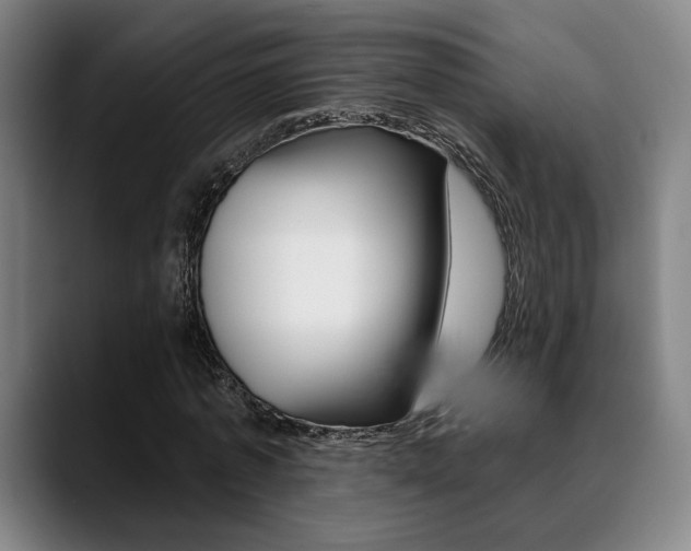 X0000089380773200706150910
