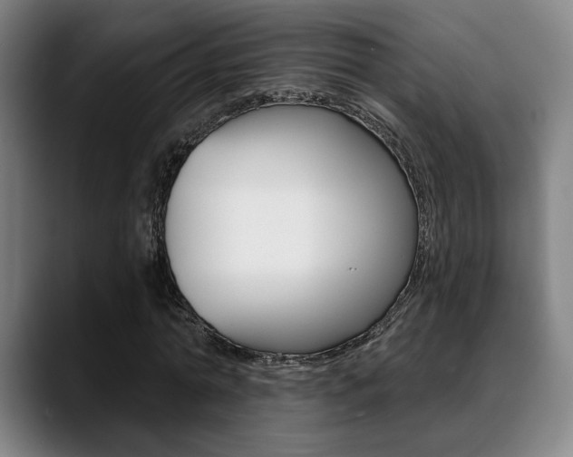 X0000089380774200706150910