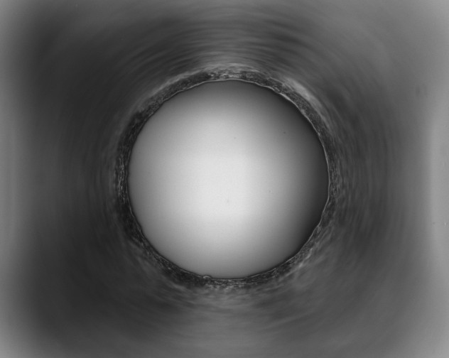 X0000089380775200706150910