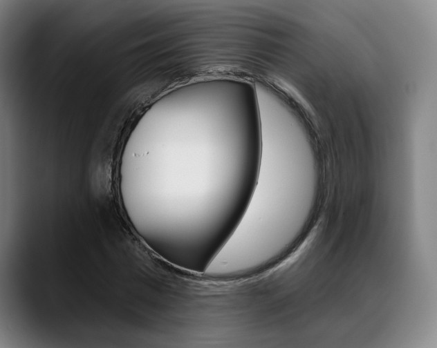 X0000089380777200706150910