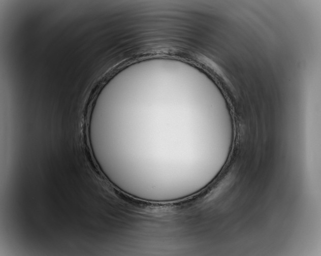 X0000089380778200706150910