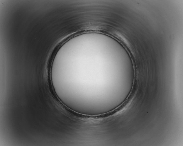 X0000089380779200706150910