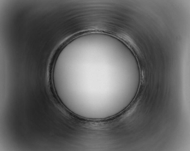 X0000089380780200706150910