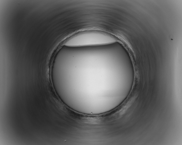 X0000089380781200706150910