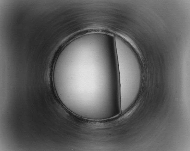X0000089380783200706150910