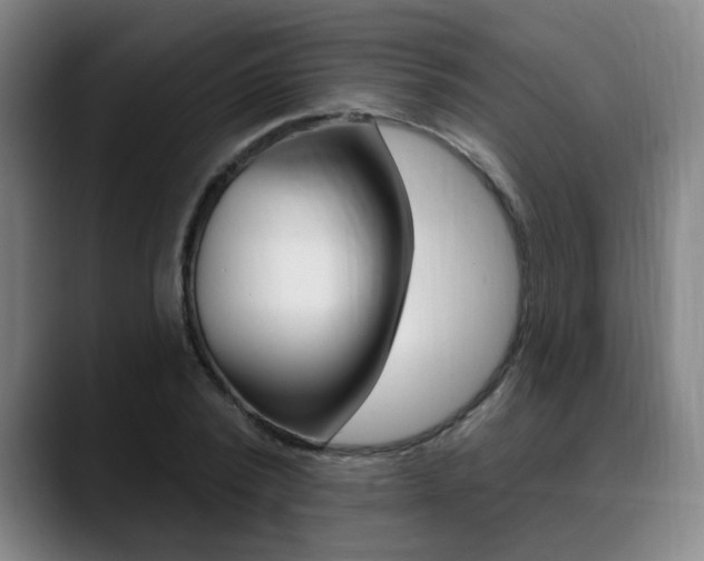 X0000089380784200706150910