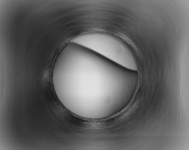 X0000089380785200706150910