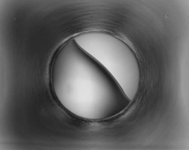X0000089380787200706150910
