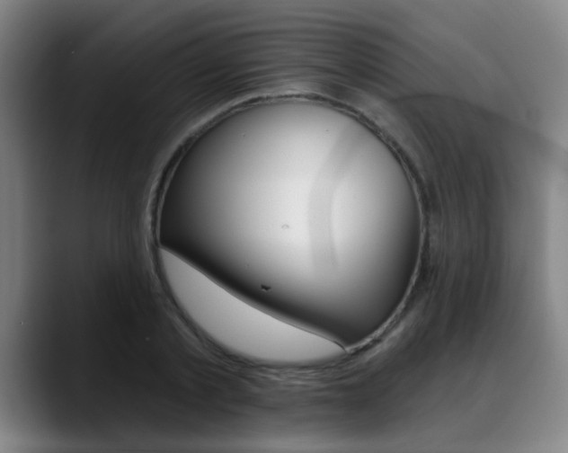X0000089380789200706150910