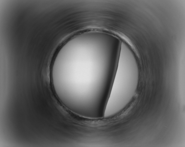X0000089380791200706150910