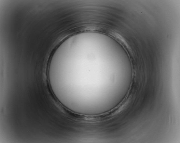 X0000089380794200706150910