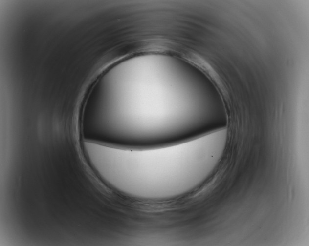 X0000089380795200706150910