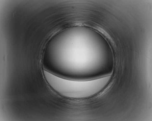 X0000089380801200706150910
