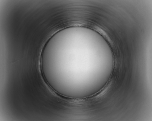 X0000089380802200706150910
