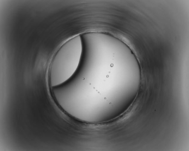 X0000089380803200706150910