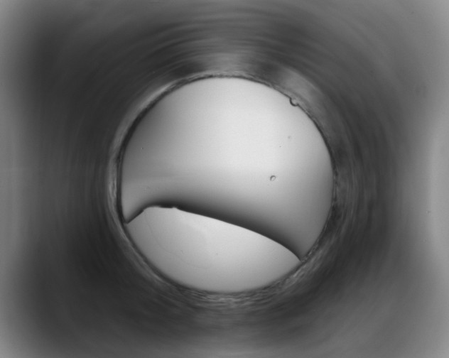 X0000089380804200706150910