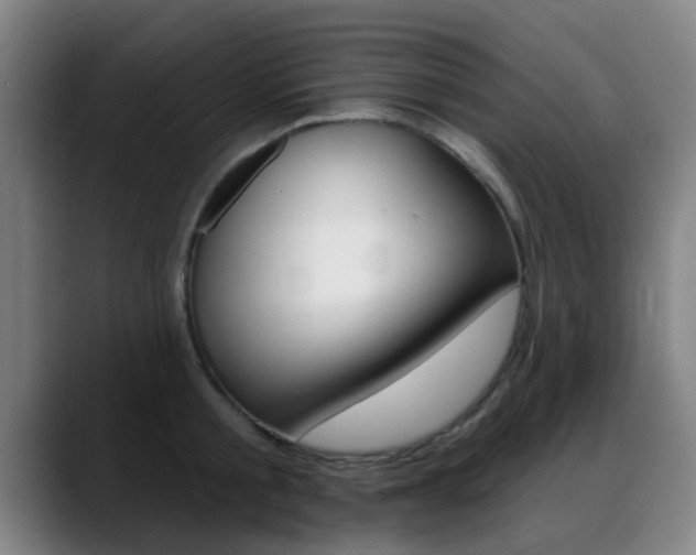 X0000089380805200706150910