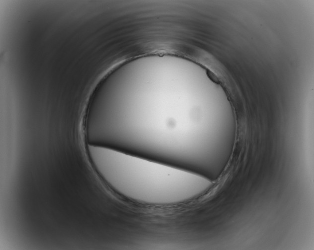X0000089380806200706150910