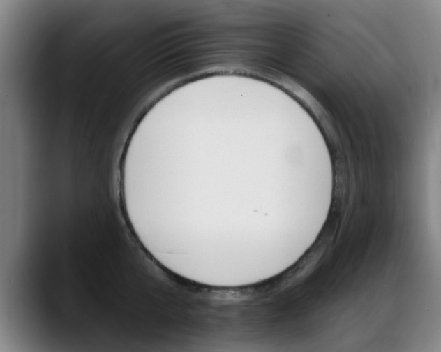 X0000089380807200706150910