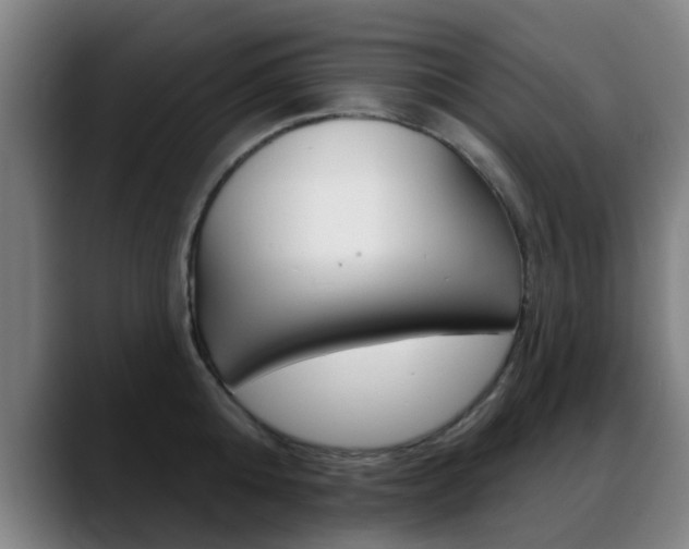 X0000089380808200706150910