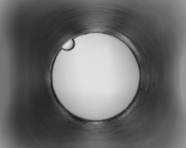 X0000089380810200706150910