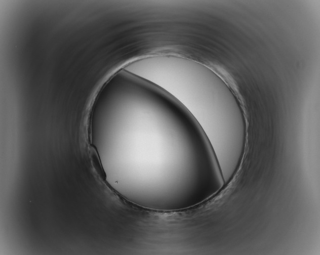 X0000089380816200706150910
