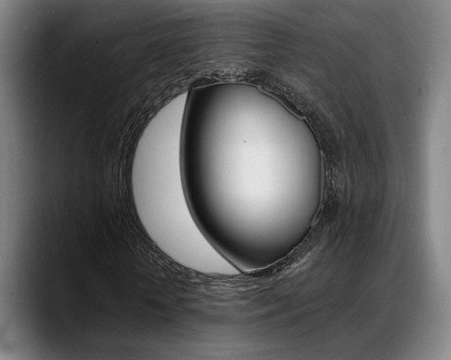 X0000089380818200706150909