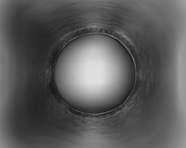 X0000089380821200706150909