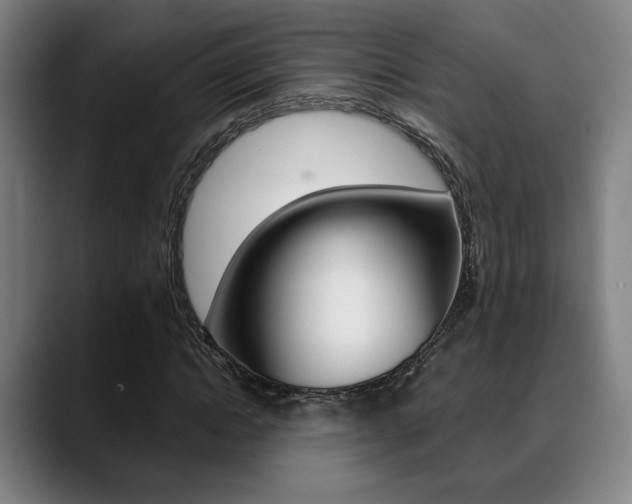 X0000089380822200706150909